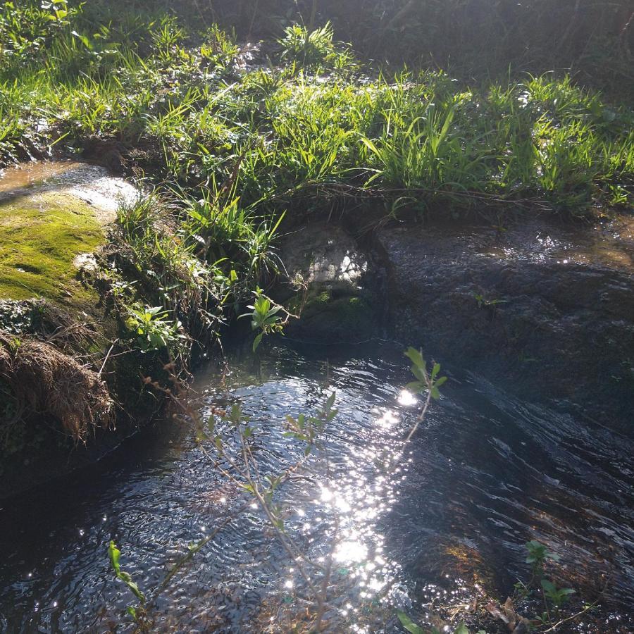 Rio Rufino Yahoo Ecolodge מראה חיצוני תמונה